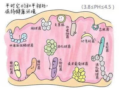 宫颈糜烂其实不是病