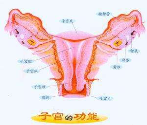 什么是子宫炎，严重吗