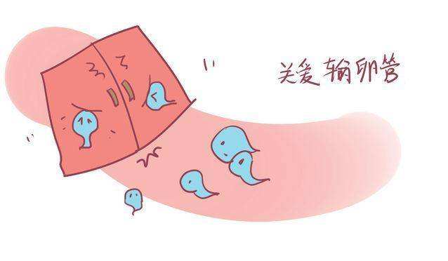 输卵管刺痛是怀孕了吗?是什么原因?