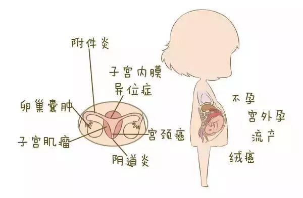 子宫内膜增厚的原因有什么