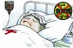 儿童多发蚕豆病 及早预防很关键