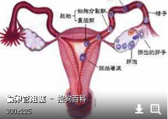 查出输卵管堵塞问题，怎么治疗效果会更好