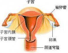 妇炎丸治疗输卵管堵塞有用吗？