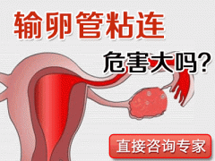 输卵管粘连不当回事?看完你会后悔