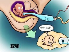这七个关于阴道的观点是错误的