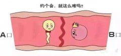 如何调理输卵管堵塞