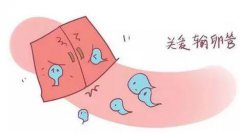 输卵管口堵塞怎么治疗