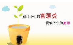 治疗慢性宫颈炎的偏方有哪些?