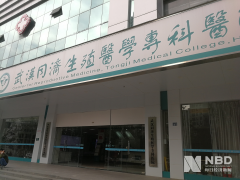 未婚女性可到武汉“冻卵”？权威回应：只可医学研究