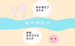 输卵管积水的危害究竟有多严重