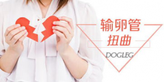 输卵管堵塞和输卵管走行扭曲一样吗?