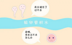 输卵管积水严重会导致什么后果