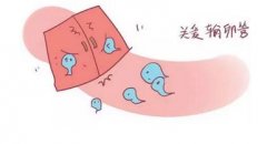 输卵管堵塞会影响月经吗