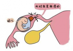 输卵管堵塞是如何导致宫外孕的?该如何治疗?