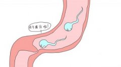 一侧输卵管堵塞需要治疗吗?有何危害?